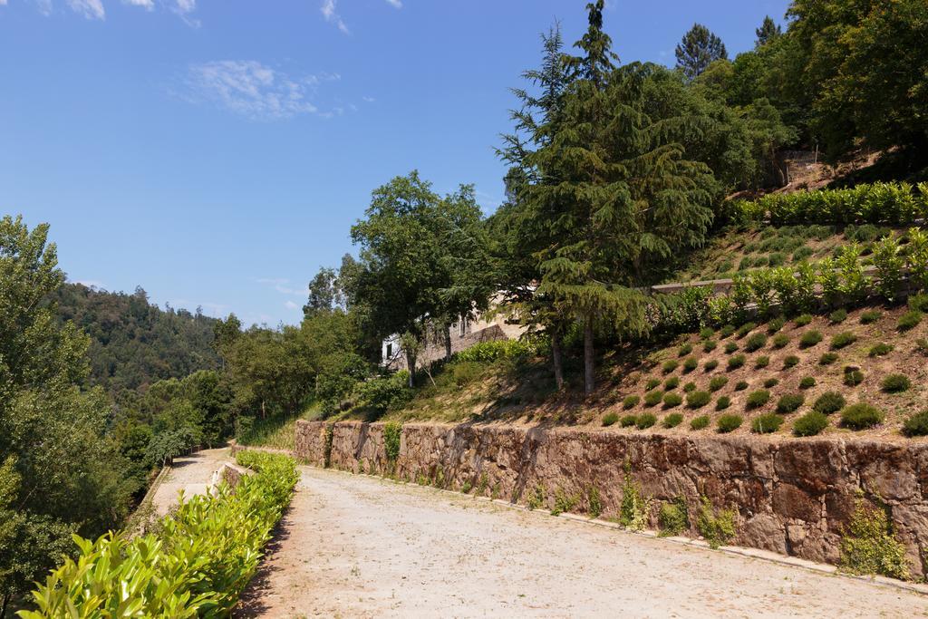 Douro Green Каштелу-ди-Пайва Экстерьер фото