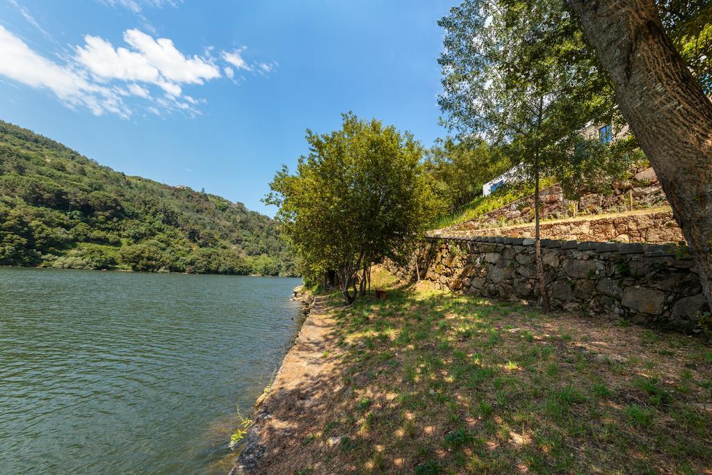 Douro Green Каштелу-ди-Пайва Экстерьер фото